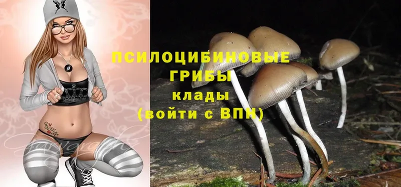 Галлюциногенные грибы Magic Shrooms Козловка